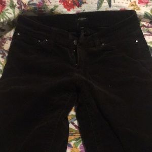 Ann Taylor Chocolate Cords 0